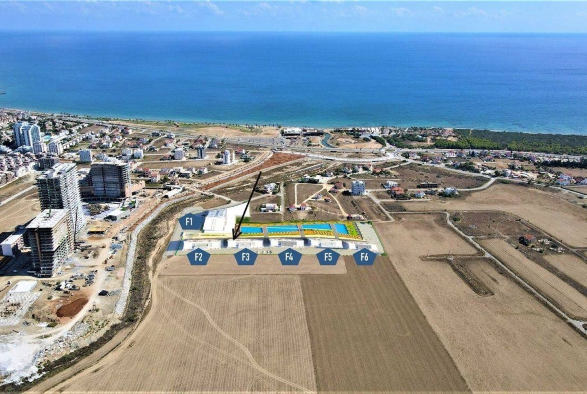 8620db3d-adb0-48d8-a66e-21560446d26f (Büyük)