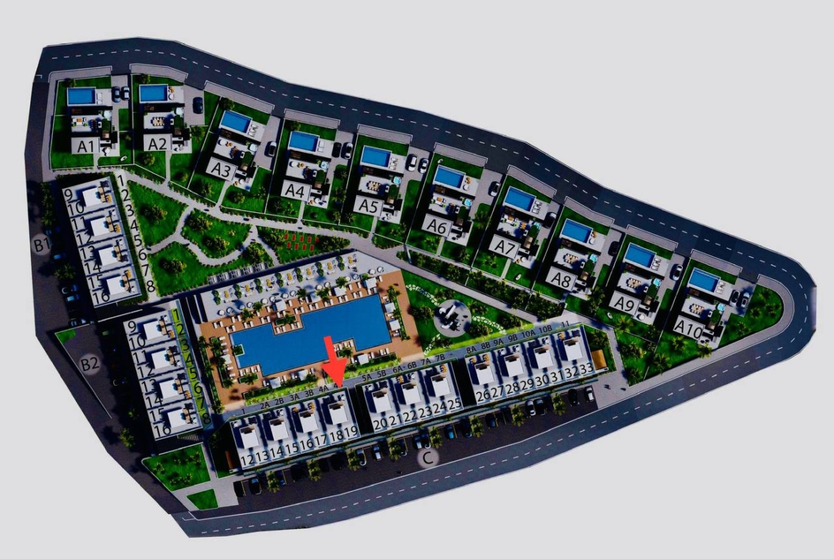 photo_2025-03-22_09-31-36