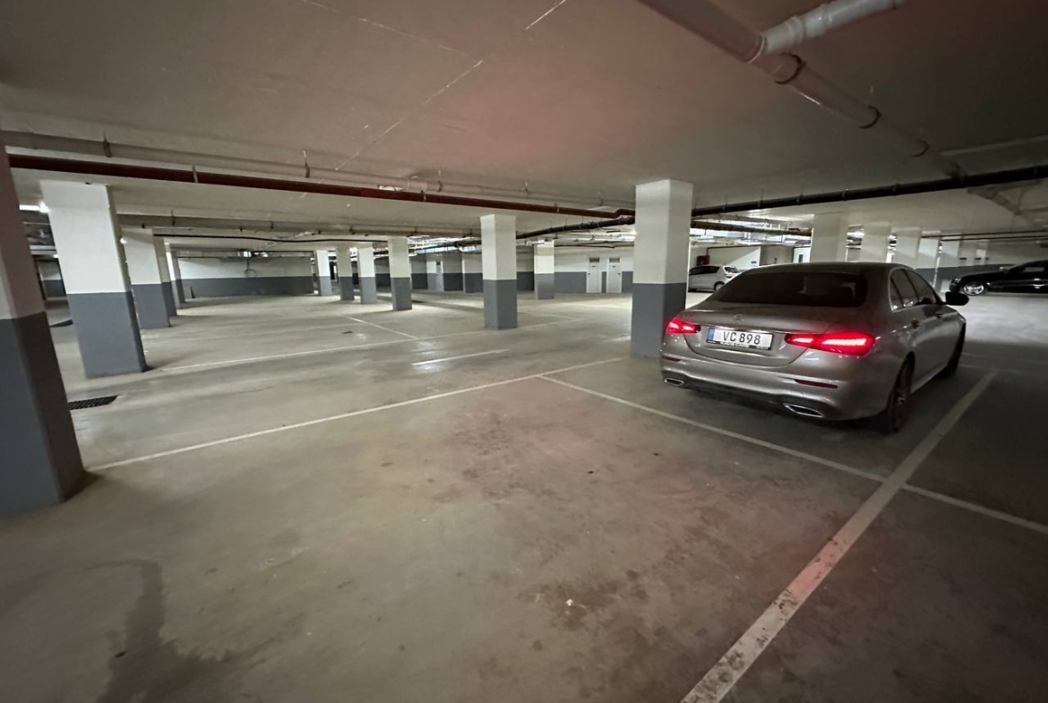 photo_2025-03-22_10-01-46