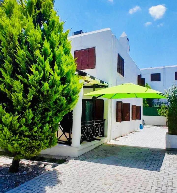 photo_2025-03-22_10-44-11