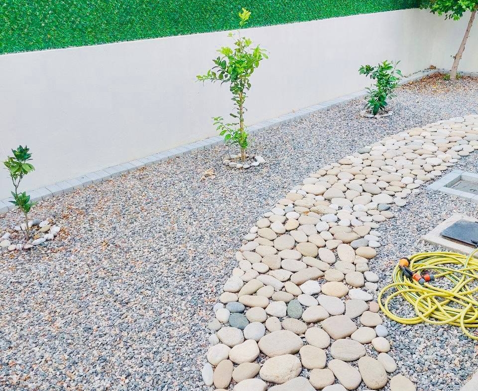 photo_2025-03-22_10-44-20