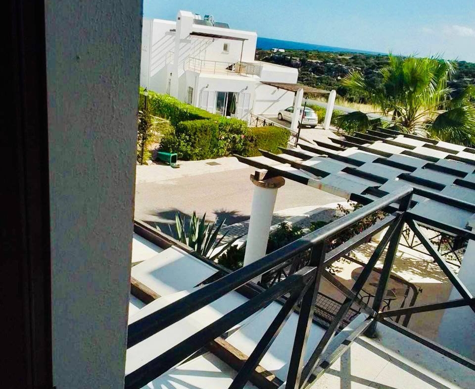 photo_2025-03-22_10-44-21