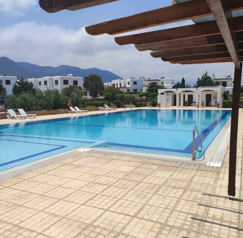 photo_2025-03-22_10-44-25