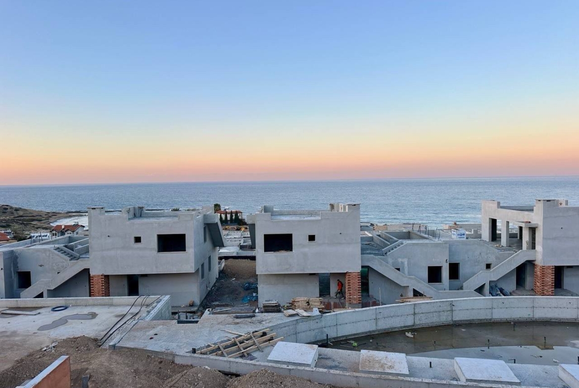 photo_2025-03-22_11-41-04