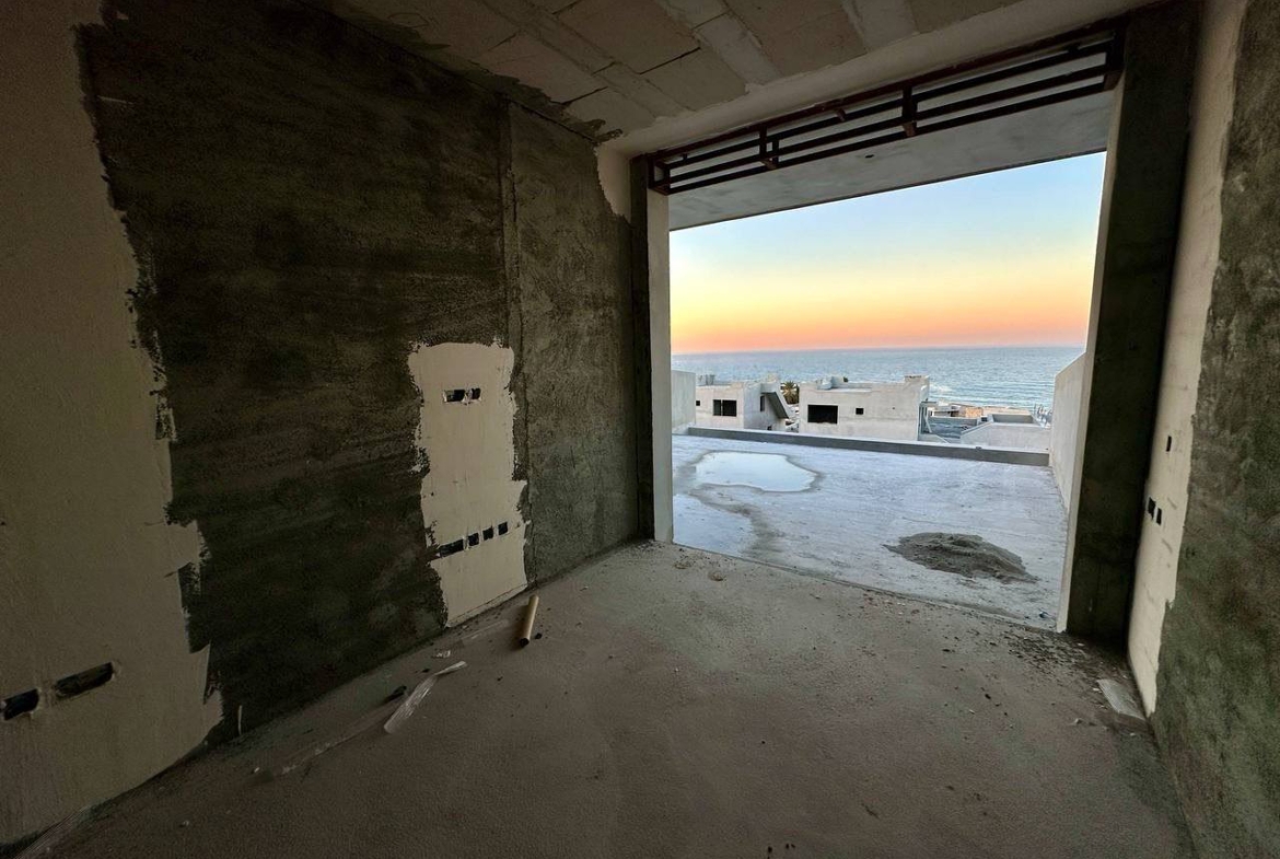 photo_2025-03-22_11-41-06