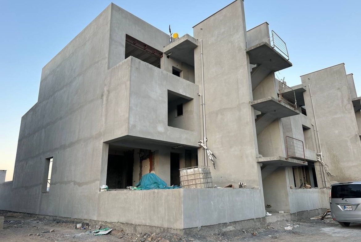 photo_2025-03-22_11-41-07