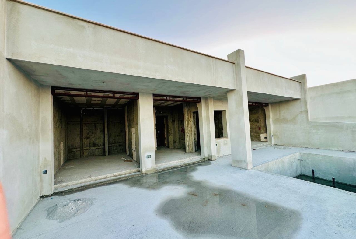 photo_2025-03-22_11-41-09