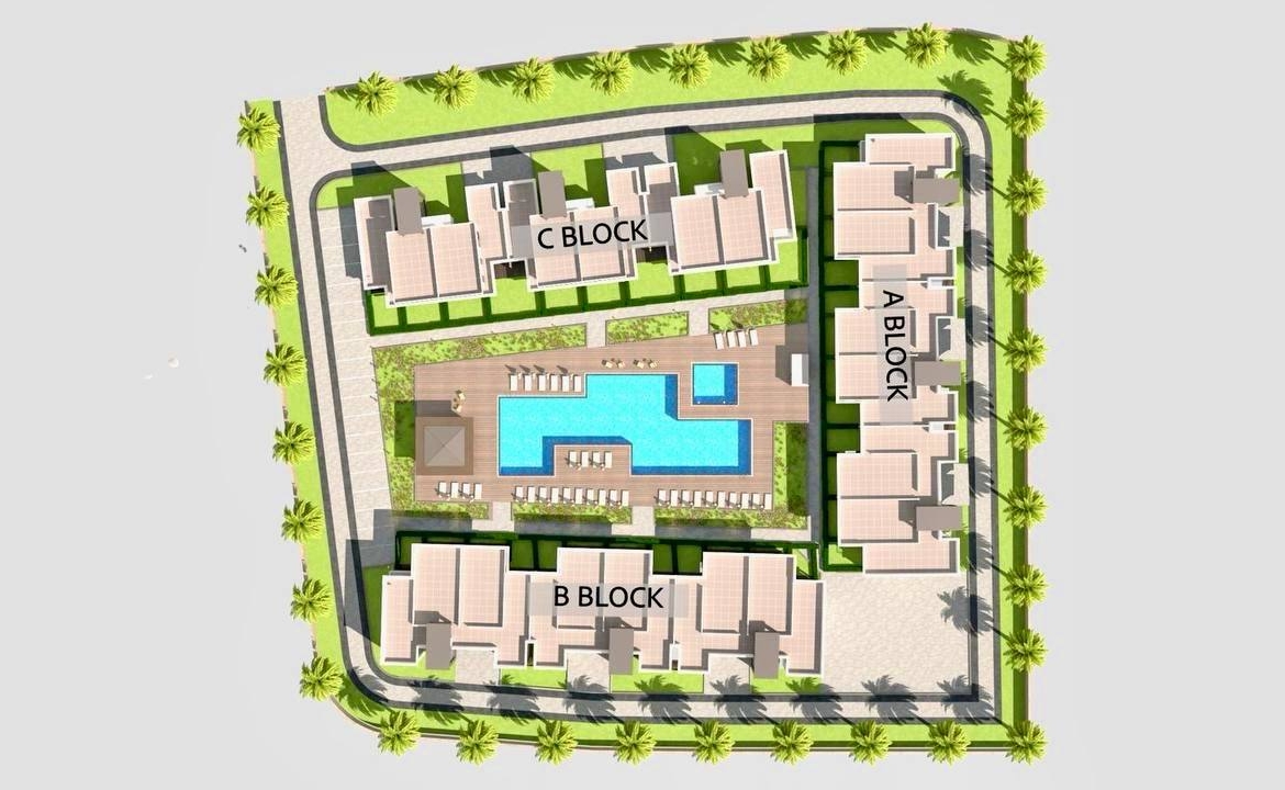 photo_2025-03-22_13-39-04