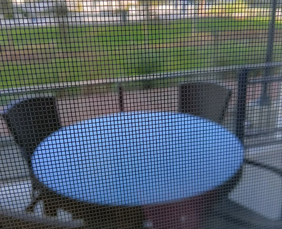 photo_2025-05-09_11-35-22