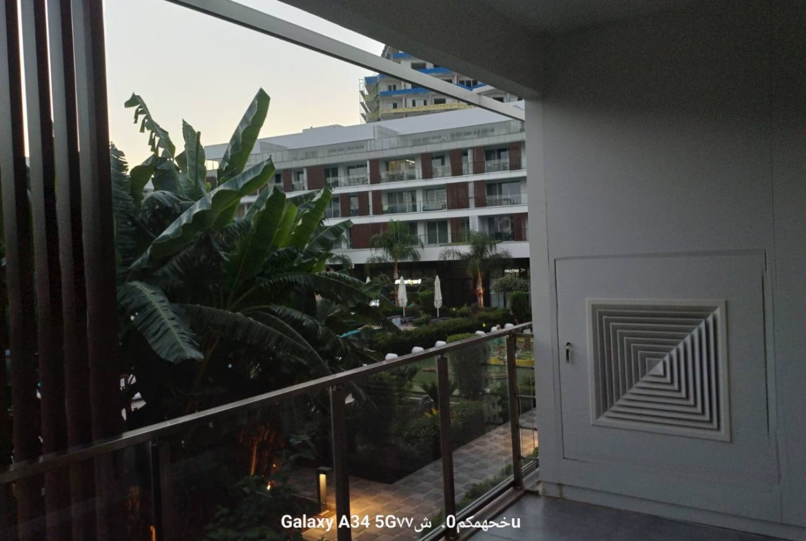 photo_2025-05-09_12-45-48