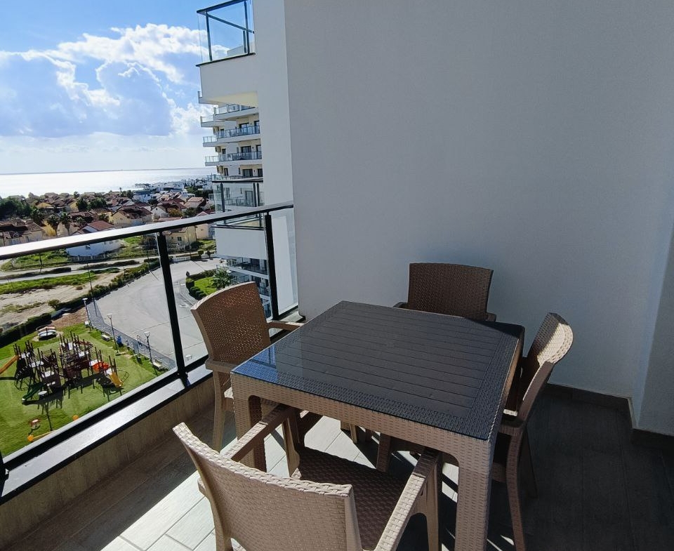 photo_2025-05-09_14-37-18