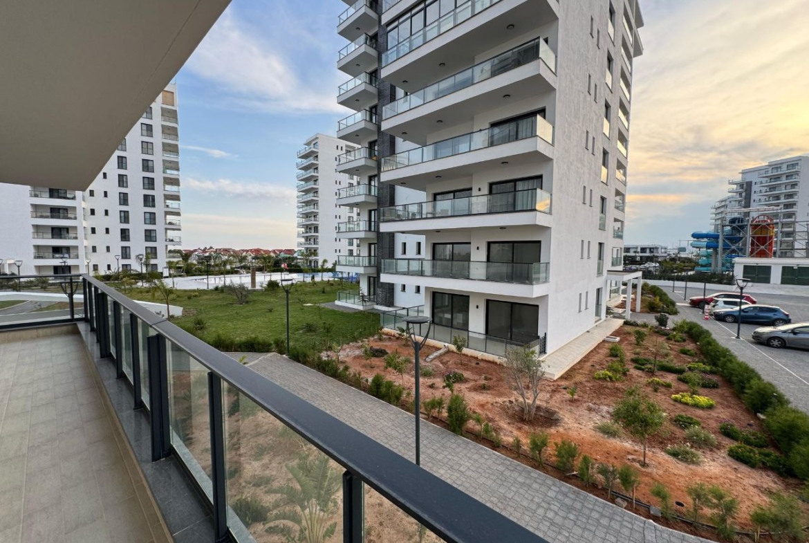 photo_2025-05-13_12-53-56