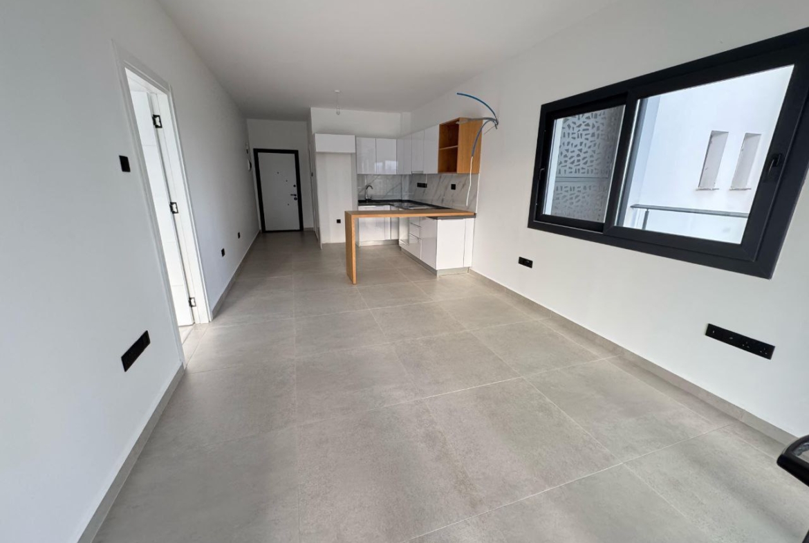 photo_2025-05-13_12-53-59