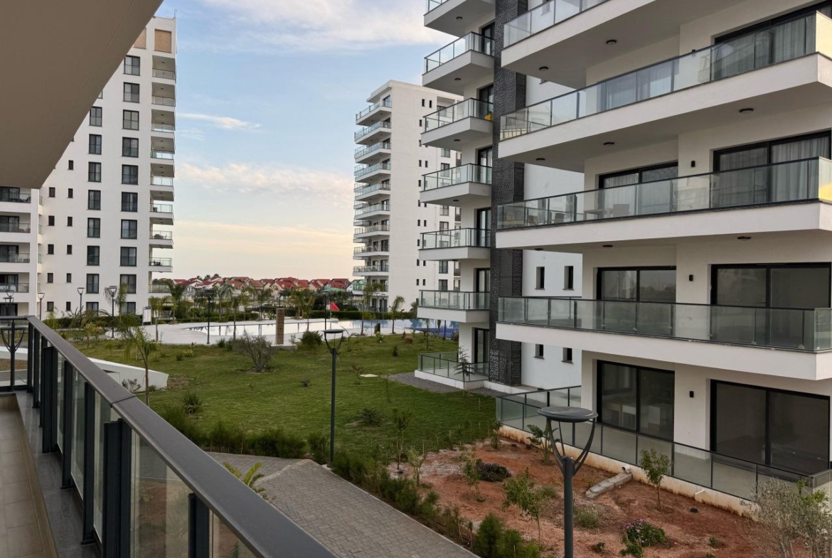 photo_2025-05-13_12-54-00